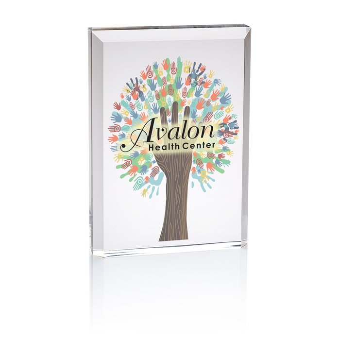 Custom Luminous Acrylic Award - Full Colour