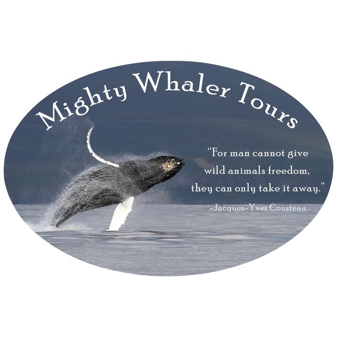 Custom Car Magnet - Oval - 3-1/2